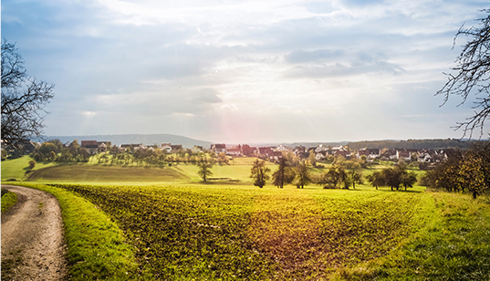 創(chuàng)收創(chuàng)富，產(chǎn)業(yè)扶貧